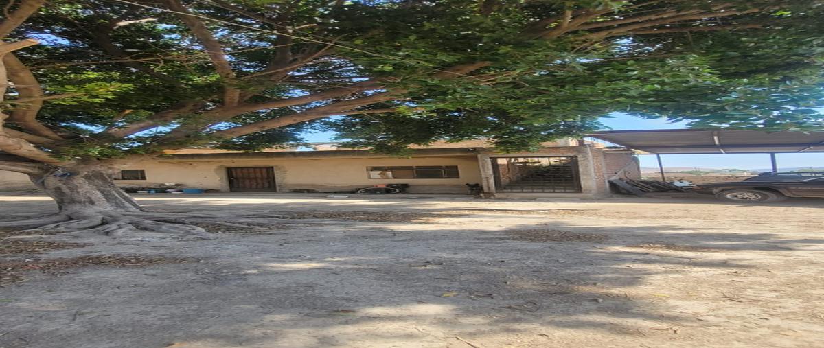 Foto de terreno habitacional en predio los pirules , prados santa lucia, zapopan, jalisco, 28274009 foto 08 Foto de terreno habitacional en venta en predio los pirules , prados santa lucia, zapopan, jalisco, 28274009 No. 08