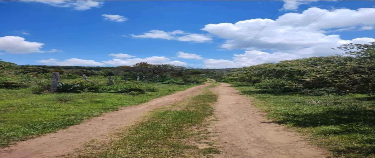 Foto de terreno habitacional en venta en predio rústico 1, tapalpa, tapalpa, jalisco, 0 No. 03