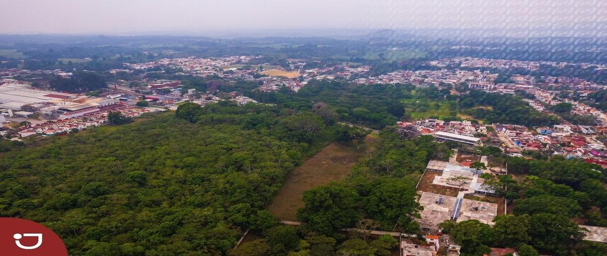 Foto de terreno habitacional en venta en predio rustico el guayabal , cuauhtemoc, coatepec, veracruz de ignacio de la llave, 28093177 No. 04