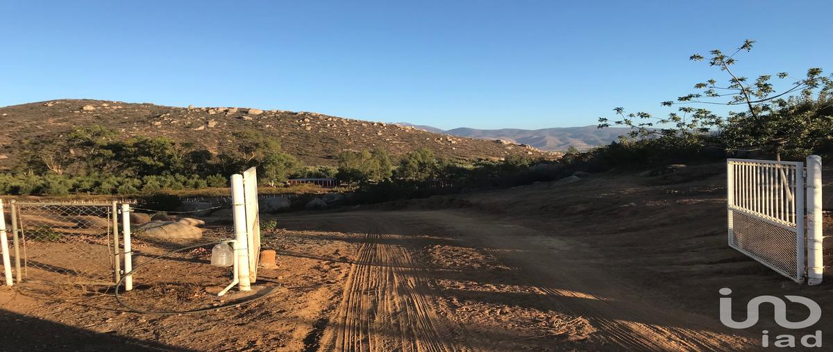 Foto de terreno comercial en venta en predio rústico el pedregal , francisco zarco (valle de guadalupe), ensenada, baja california, 0 No. 03