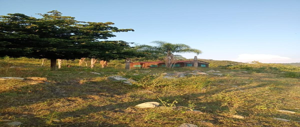 Foto de rancho en venta en predio rustico "laceja" , acatlan de juárez, acatlán de juárez, jalisco, 27688266 No. 02
