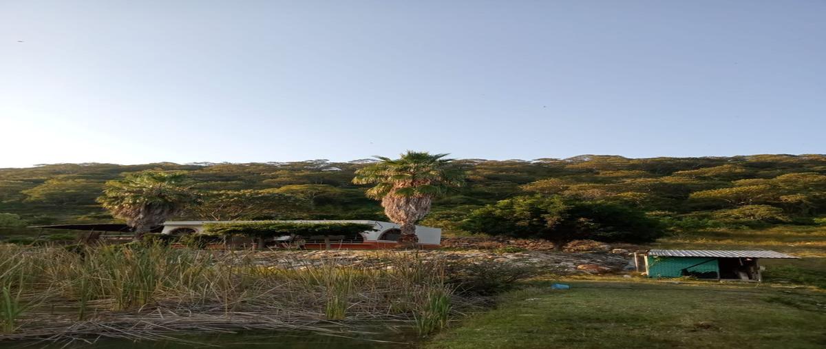 Foto de rancho en venta en predio rustico "laceja" , acatlan de juárez, acatlán de juárez, jalisco, 27688266 No. 03
