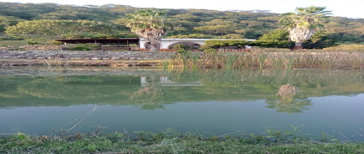 Foto de rancho en venta en predio rustico "laceja" , acatlan de juárez, acatlán de juárez, jalisco, 27688266 No. 05