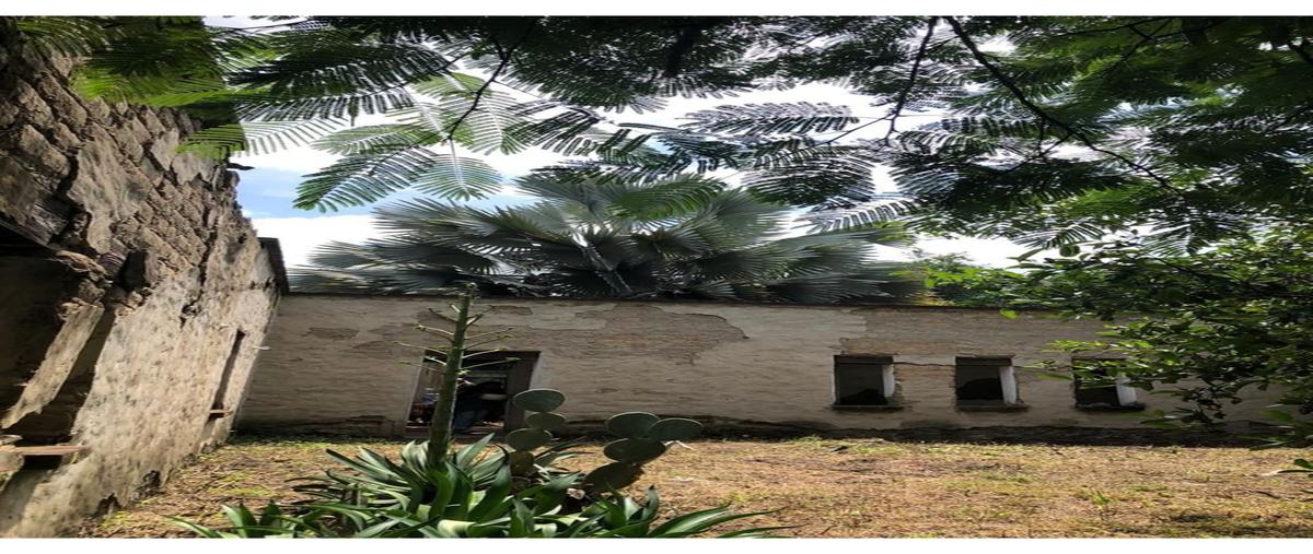 Foto de rancho en venta en predio rustico riegocjon a tlayacapanitzamatitlan , itzamatitlán, yautepec, morelos, 0 No. 03