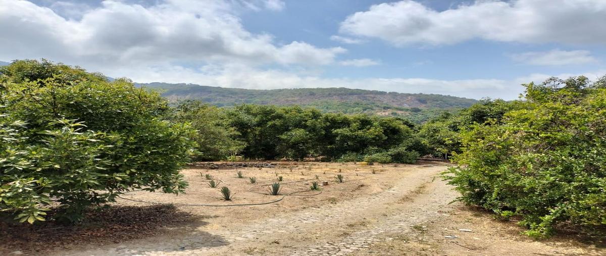 Foto de rancho en venta en predio rustico , san antonio, tepic, nayarit, 0 No. 02