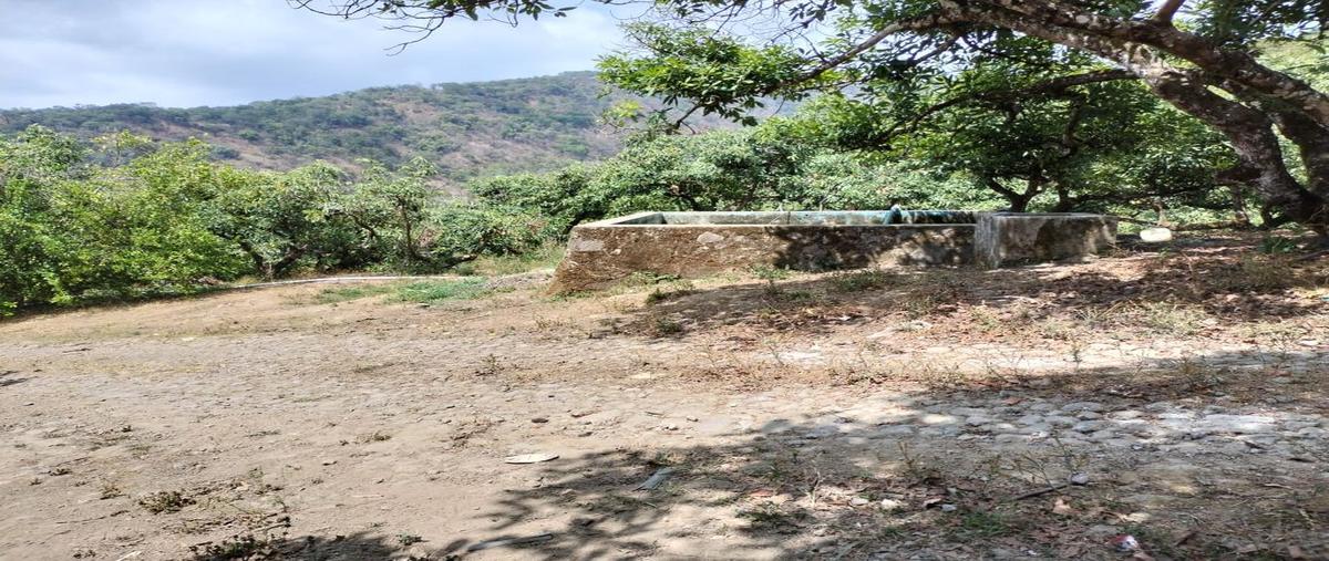 Foto de rancho en venta en predio rustico , san antonio, tepic, nayarit, 0 No. 05