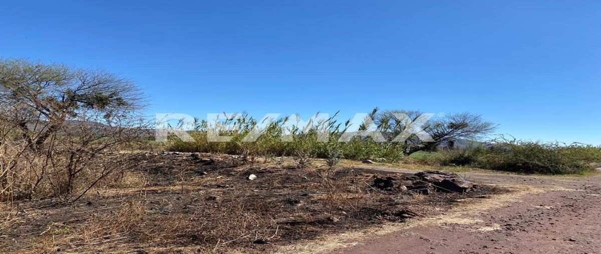 Foto de terreno comercial en venta en predio rústico , san joaquín, valle de santiago, guanajuato, 0 No. 04