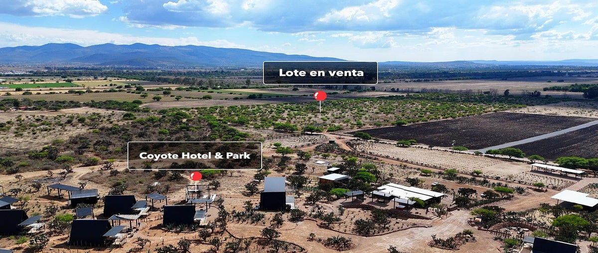 Foto de terreno habitacional en venta en predio rústico santa teresitaranchocerrito de los tovar , los tovares, san miguel de allende, guanajuato, 28631969 No. 05