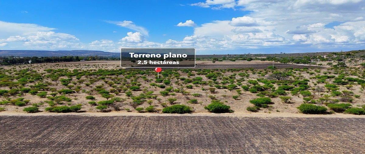 Foto de terreno habitacional en venta en predio rústico santa teresitaranchocerrito de los tovar , los tovares, san miguel de allende, guanajuato, 28631969 No. 06