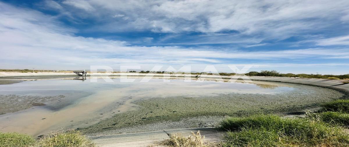 Foto de terreno comercial en predio san antonio , hacienda los olivos, matamoros, coahuila de zaragoza, 29043852 foto 02 Foto de terreno comercial en venta en predio san antonio , hacienda los olivos, matamoros, coahuila de zaragoza, 29043852 No. 02