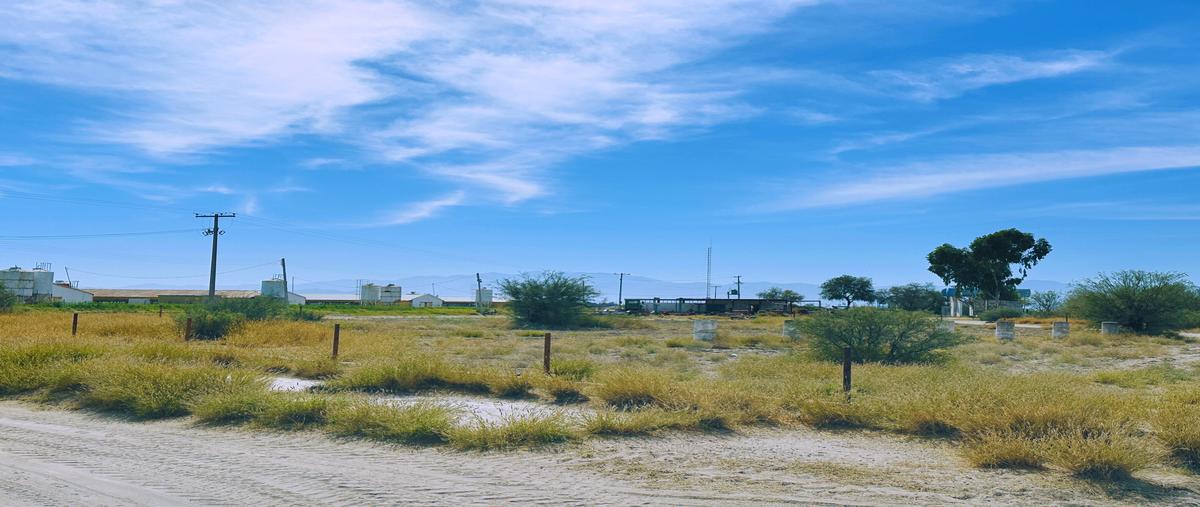 Foto de terreno comercial en venta en predio san antonio , hacienda los olivos, matamoros, coahuila de zaragoza, 29043852 No. 04