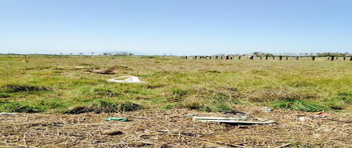 Foto de terreno habitacional en , predio san joaquín, coatzacoalcos, veracruz de ignacio de la llave, 0 foto 03 Foto de terreno habitacional en renta en , predio san joaquín, coatzacoalcos, veracruz de ignacio de la llave, 0 No. 03