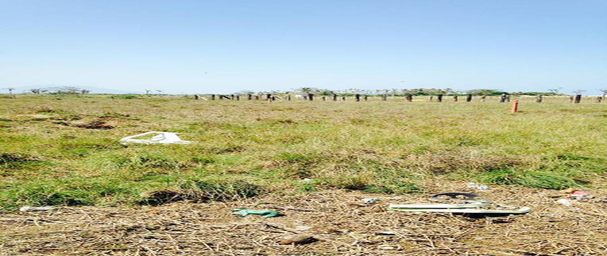 Foto de terreno habitacional en , predio san joaquín, coatzacoalcos, veracruz de ignacio de la llave, 0 foto 04 Foto de terreno habitacional en renta en , predio san joaquín, coatzacoalcos, veracruz de ignacio de la llave, 0 No. 04