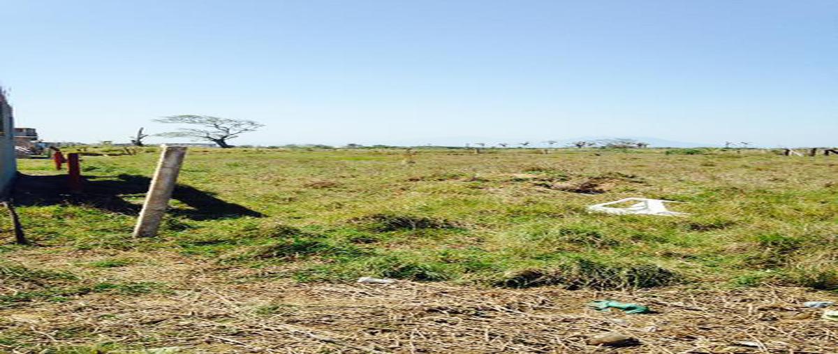 Foto de terreno habitacional en , predio san joaquín, coatzacoalcos, veracruz de ignacio de la llave, 0 foto 05 Foto de terreno habitacional en renta en , predio san joaquín, coatzacoalcos, veracruz de ignacio de la llave, 0 No. 05
