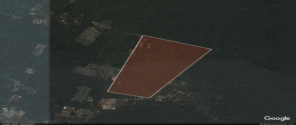 Foto de terreno habitacional en venta en predio san juan , playa del carmen, solidaridad, quintana roo, 27682984 No. 05