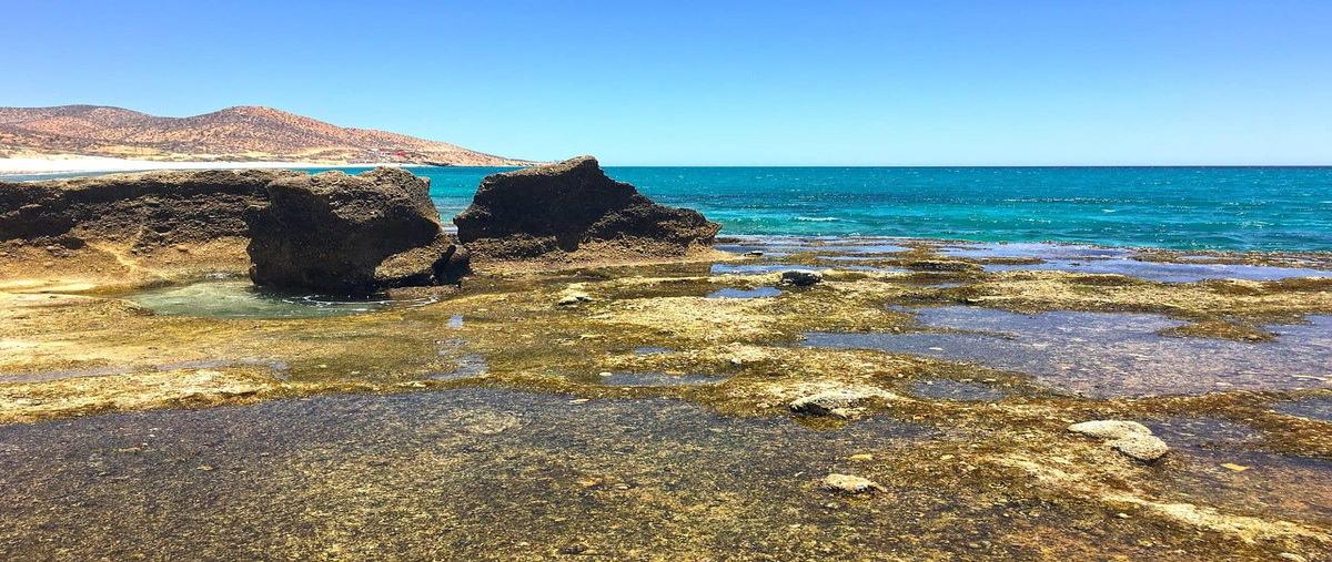 Foto de terreno habitacional en venta en predio san pedro mártir , los barriles, la paz, baja california sur, 30839057 No. 07