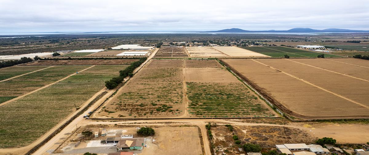 Foto de terreno habitacional en venta en predio san simon , san quintín, ensenada, baja california, 28520577 No. 03