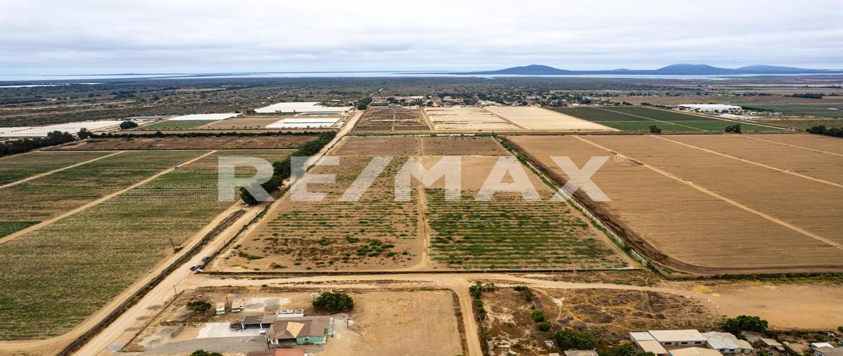 Foto de terreno habitacional en venta en predio san simon , san quintín, ensenada, baja california, 28520577 No. 03