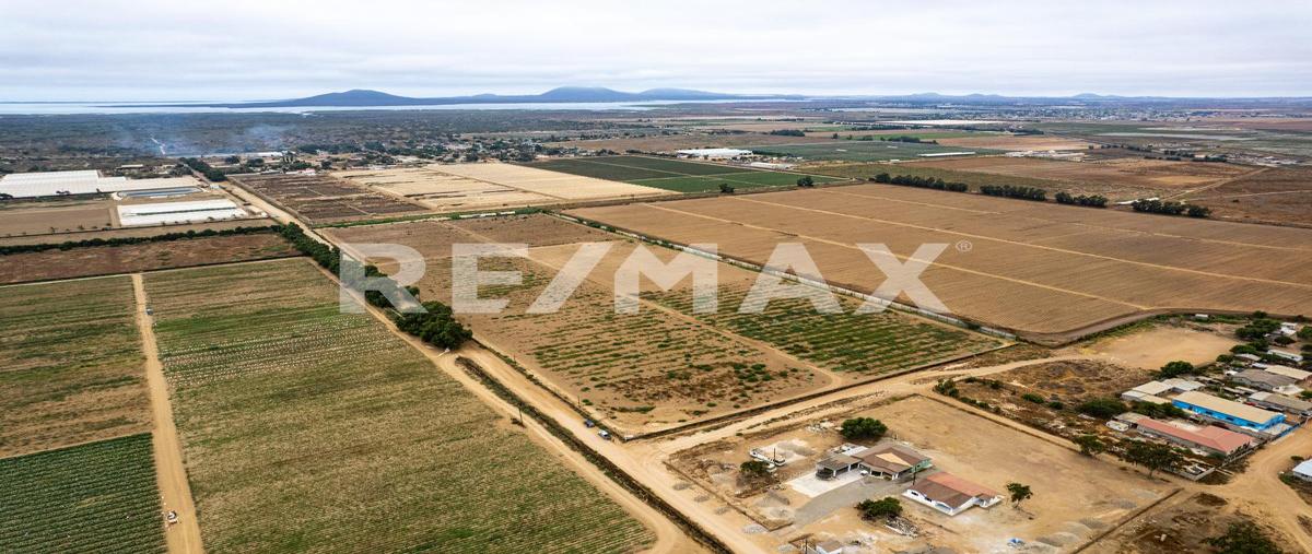 Foto de terreno habitacional en venta en predio san simon , san quintín, ensenada, baja california, 28520577 No. 04