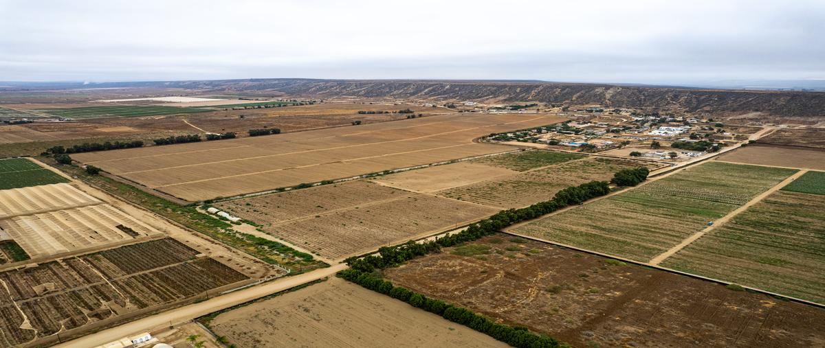 Foto de terreno habitacional en venta en predio san simon , san quintín, ensenada, baja california, 28520577 No. 05
