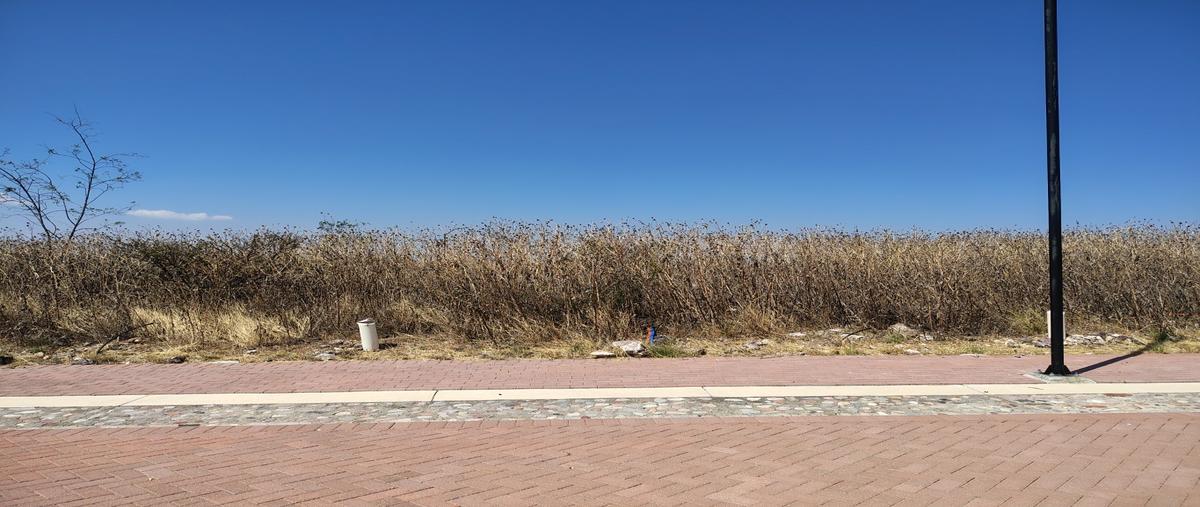 Foto de terreno habitacional en venta en  , presa de bravo, corregidora, querétaro, 0 No. 03