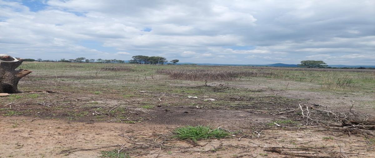 Foto de terreno habitacional en venta en  , presa de bravo, corregidora, querétaro, 0 No. 03