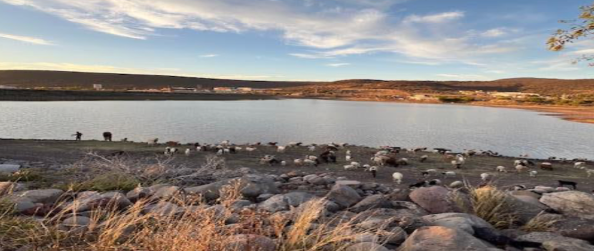 Foto de terreno habitacional en presa el salitreejido san pabloquerétaro , el salitre, querétaro, querétaro, 0 foto 06 Foto de terreno habitacional en venta en presa el salitreejido san pabloquerétaro , el salitre, querétaro, querétaro, 0 No. 06