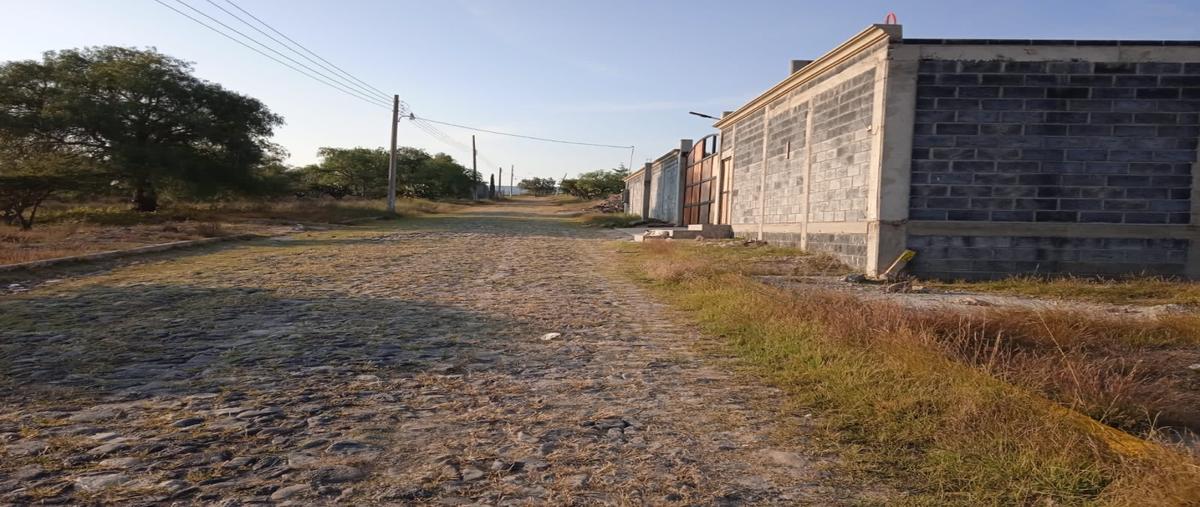 Foto de terreno habitacional en venta en  , presa escondida 2a. sección hacienda la nopalera, tepeji del río de ocampo, hidalgo, 26224658 No. 04