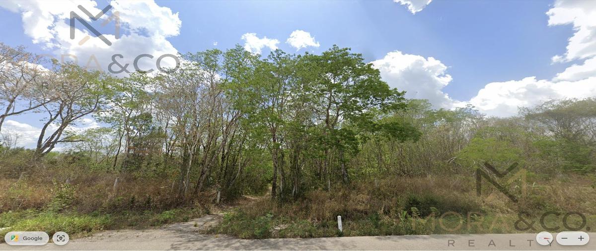 Foto de terreno habitacional en venta en  , presidente juárez, felipe carrillo puerto, quintana roo, 29376763 No. 04