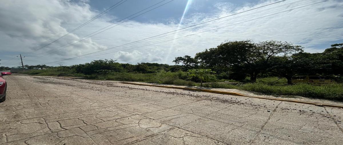 Foto de terreno habitacional en venta en previo cion , santa elena, pueblo viejo, veracruz de ignacio de la llave, 28174358 No. 03