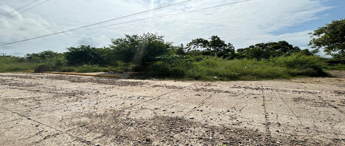 Foto de terreno habitacional en venta en previo cion , santa elena, pueblo viejo, veracruz de ignacio de la llave, 28174358 No. 05