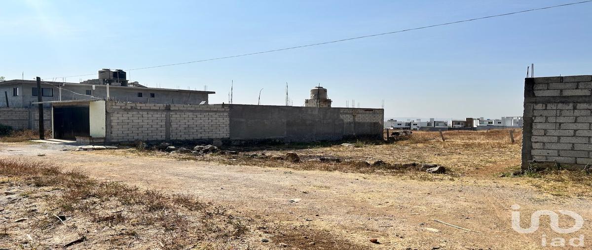 Foto de terreno habitacional en venta en primavera 102, papayos, cuernavaca, morelos, 28723272 No. 05