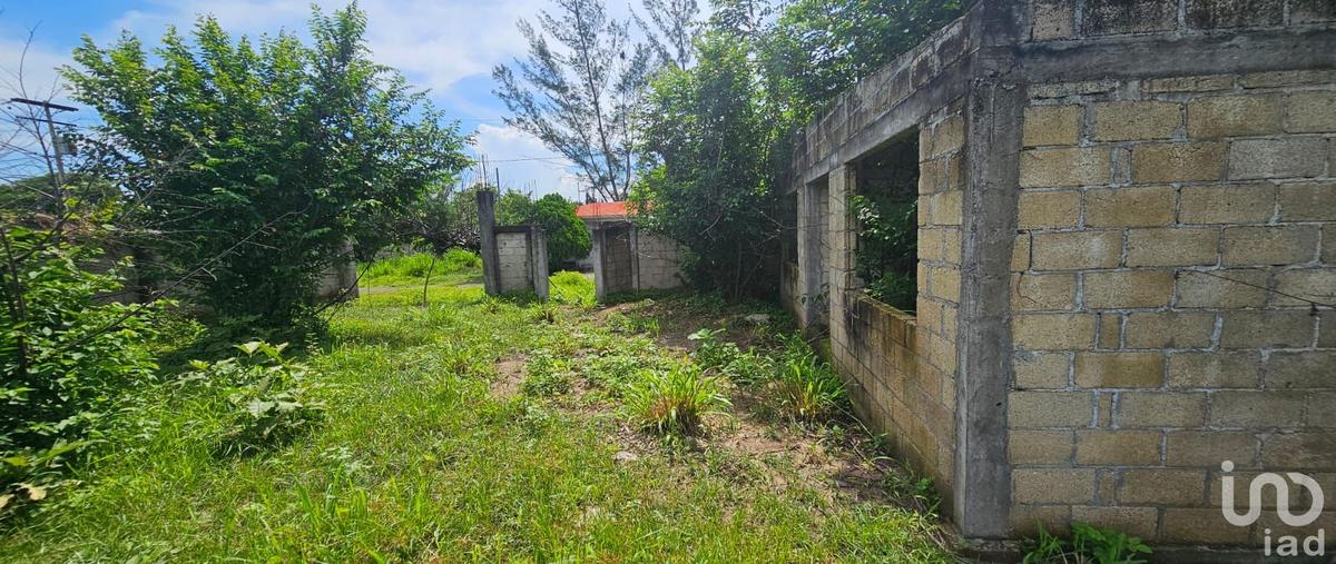 Foto de terreno habitacional en primavera 91, mata loma, manlio fabio altamirano, veracruz de ignacio de la llave, 28725679 foto 03 Foto de terreno habitacional en venta en primavera 91, mata loma, manlio fabio altamirano, veracruz de ignacio de la llave, 28725679 No. 03