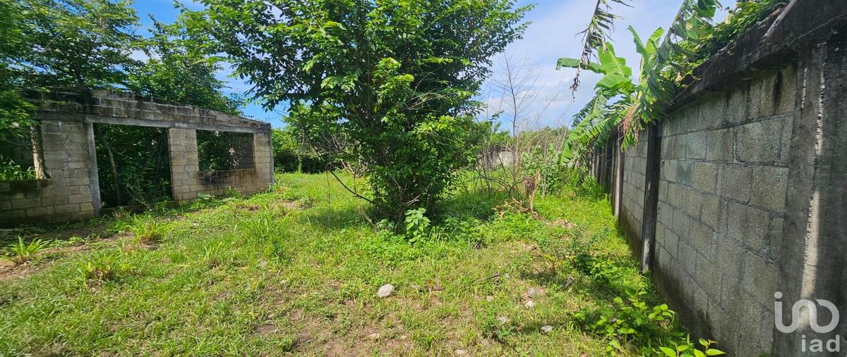 Foto de terreno habitacional en primavera 91, mata loma, manlio fabio altamirano, veracruz de ignacio de la llave, 28725679 foto 04 Foto de terreno habitacional en venta en primavera 91, mata loma, manlio fabio altamirano, veracruz de ignacio de la llave, 28725679 No. 04