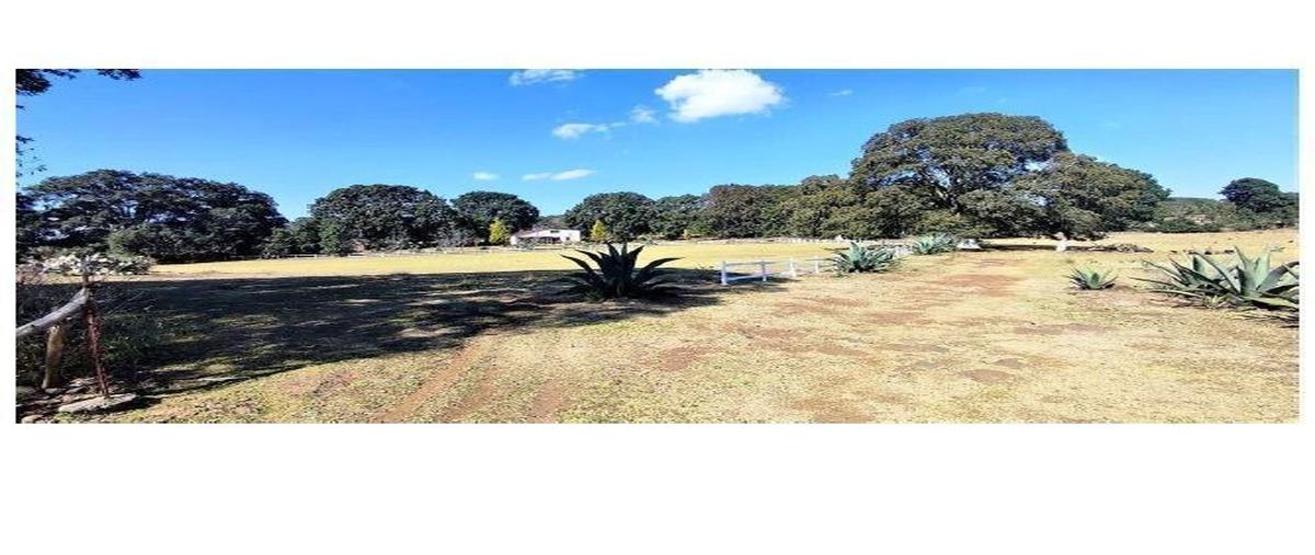 Foto de rancho en , primavera, amealco de bonfil, querétaro, 26057075 foto 02 Foto de rancho en venta en , primavera, amealco de bonfil, querétaro, 26057075 No. 02