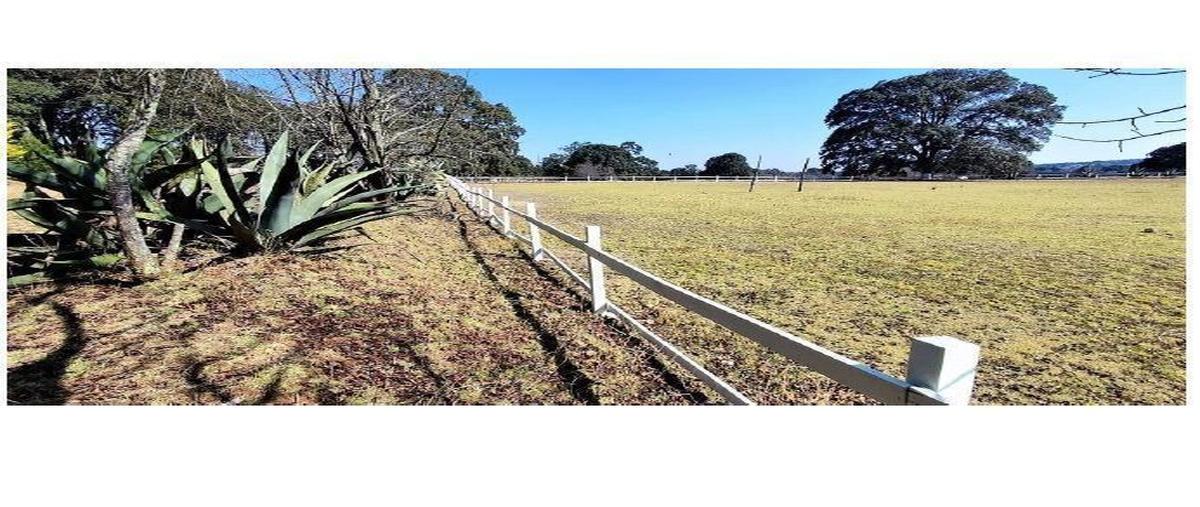 Foto de rancho en , primavera, amealco de bonfil, querétaro, 26057075 foto 03 Foto de rancho en venta en , primavera, amealco de bonfil, querétaro, 26057075 No. 03