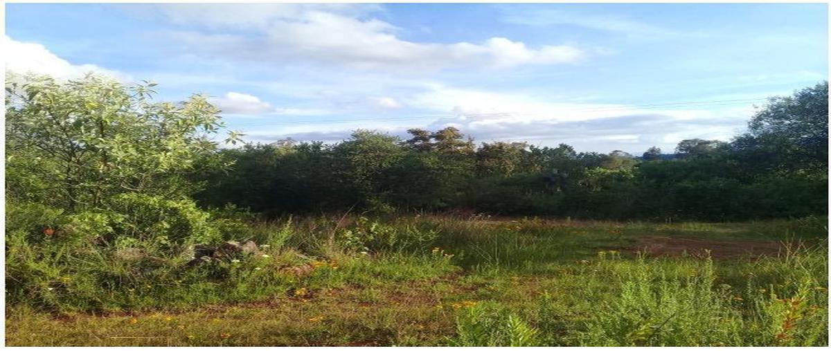 Foto de terreno habitacional en primavera, amealco, querétaro , primavera, amealco de bonfil, querétaro, 0 foto 04 Foto de terreno habitacional en venta en primavera, amealco, querétaro , primavera, amealco de bonfil, querétaro, 0 No. 04