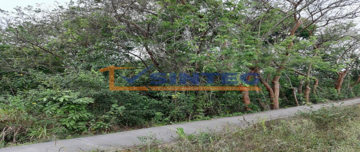 Foto de terreno habitacional en venta en  , primavera, poza rica de hidalgo, veracruz de ignacio de la llave, 0 No. 03