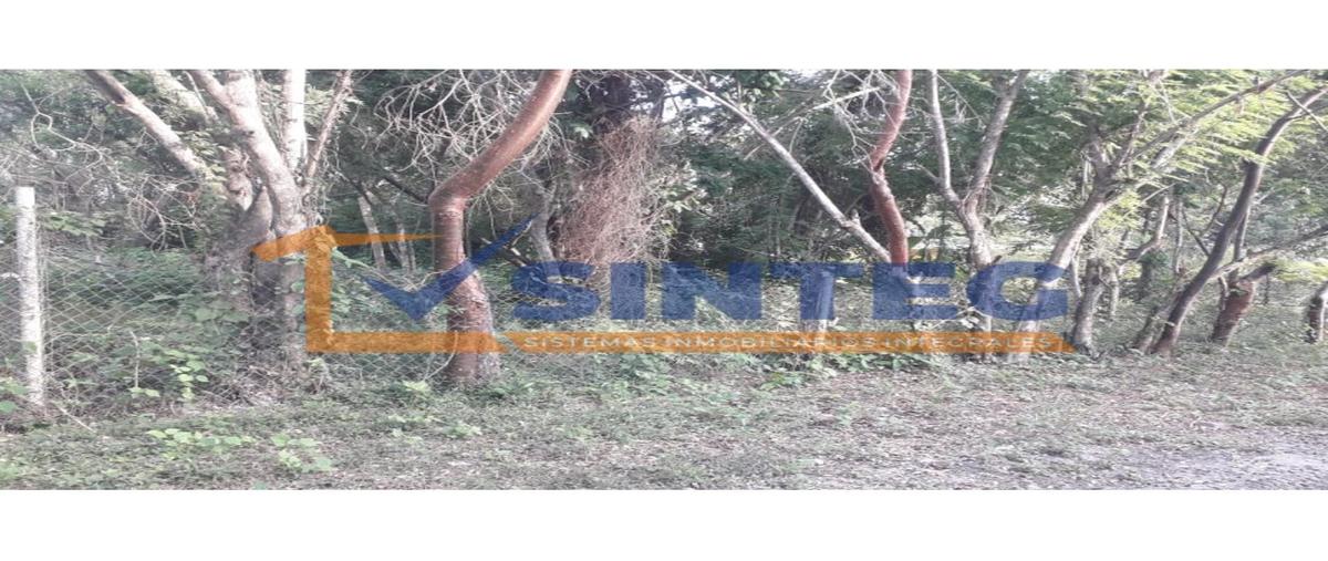 Foto de terreno habitacional en venta en  , primavera, poza rica de hidalgo, veracruz de ignacio de la llave, 27116540 No. 05