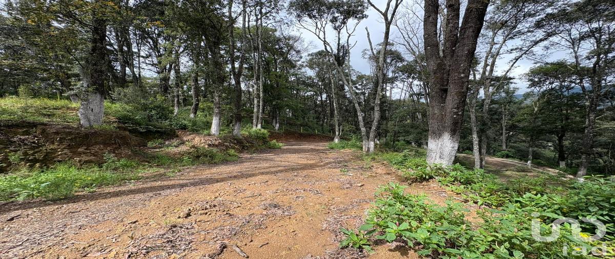 Foto de terreno habitacional en venta en primera fracción del predio denominado "rancho del bosque" , omitlán de juárez centro, omitlán de juárez, hidalgo, 30238017 No. 03