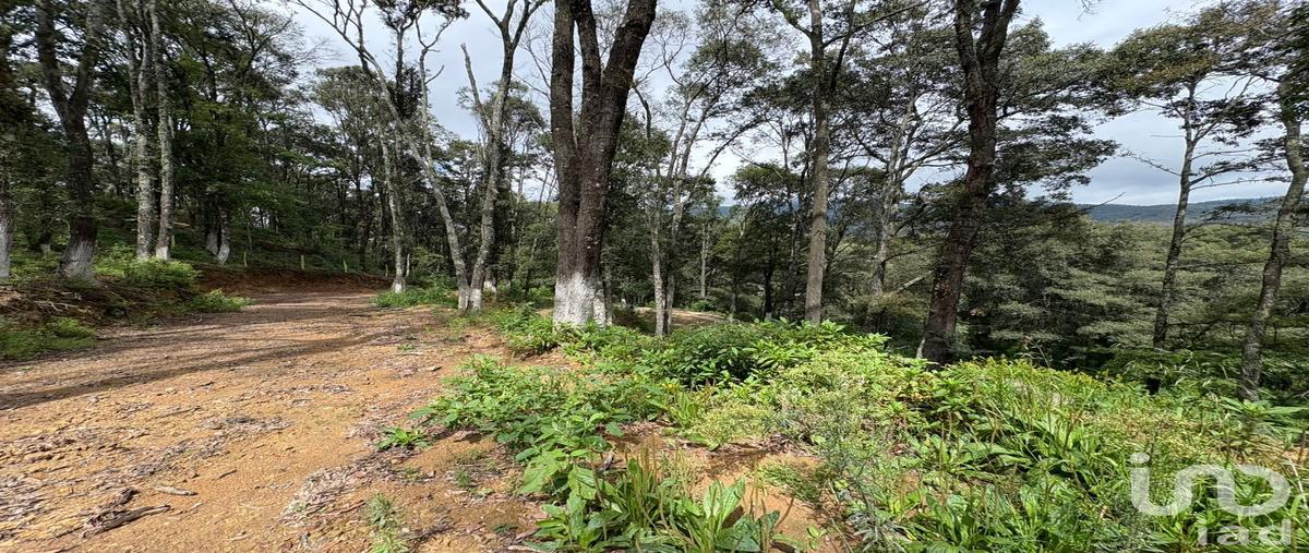 Foto de terreno habitacional en venta en primera fracción del predio denominado "rancho del bosque" , omitlán de juárez centro, omitlán de juárez, hidalgo, 30238017 No. 04