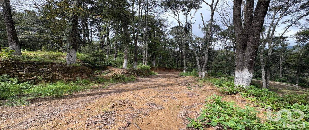 Foto de terreno habitacional en venta en primera fracción del predio denominado "rancho del bosque" , omitlán de juárez centro, omitlán de juárez, hidalgo, 30238017 No. 05