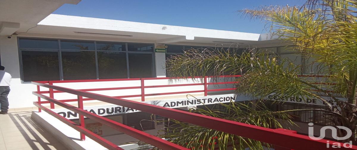 Foto de edificio en renta en primera privada plan de ayala 89, modelo, querétaro, querétaro, 30517877 No. 05