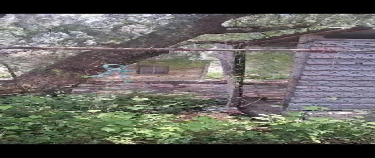 Foto de terreno habitacional en venta en primera sección del llano 1, el llano 2a sección, tula de allende, hidalgo, 0 No. 04