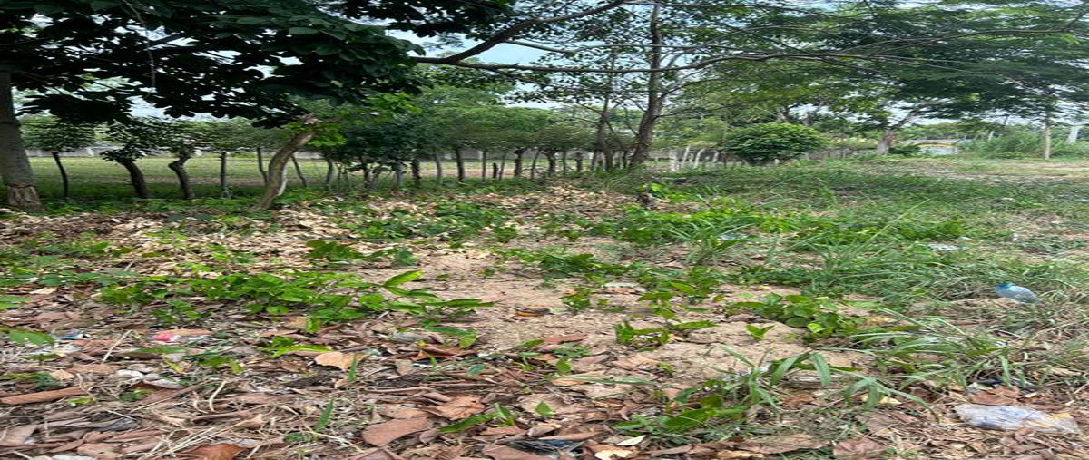 Foto de terreno comercial en primera seccion , pablo l sidar, centro, tabasco, 0 foto 05 Foto de terreno comercial en venta en primera seccion , pablo l sidar, centro, tabasco, 0 No. 05