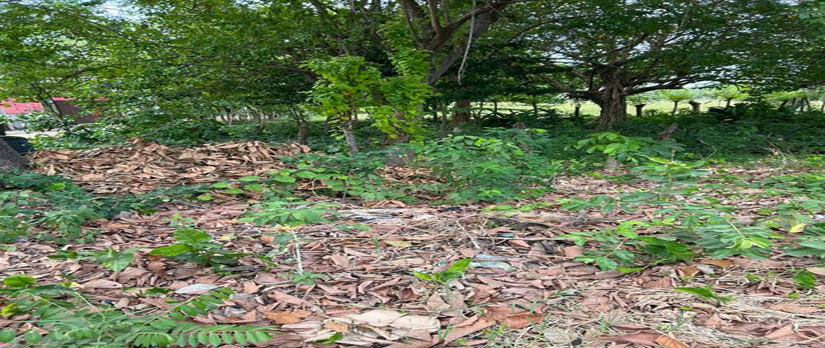 Foto de terreno comercial en venta en primera seccion , pablo l sidar, centro, tabasco, 0 No. 03
