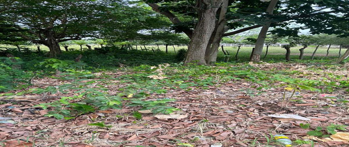 Foto de terreno comercial en venta en primera seccion , pablo l sidar, centro, tabasco, 0 No. 04