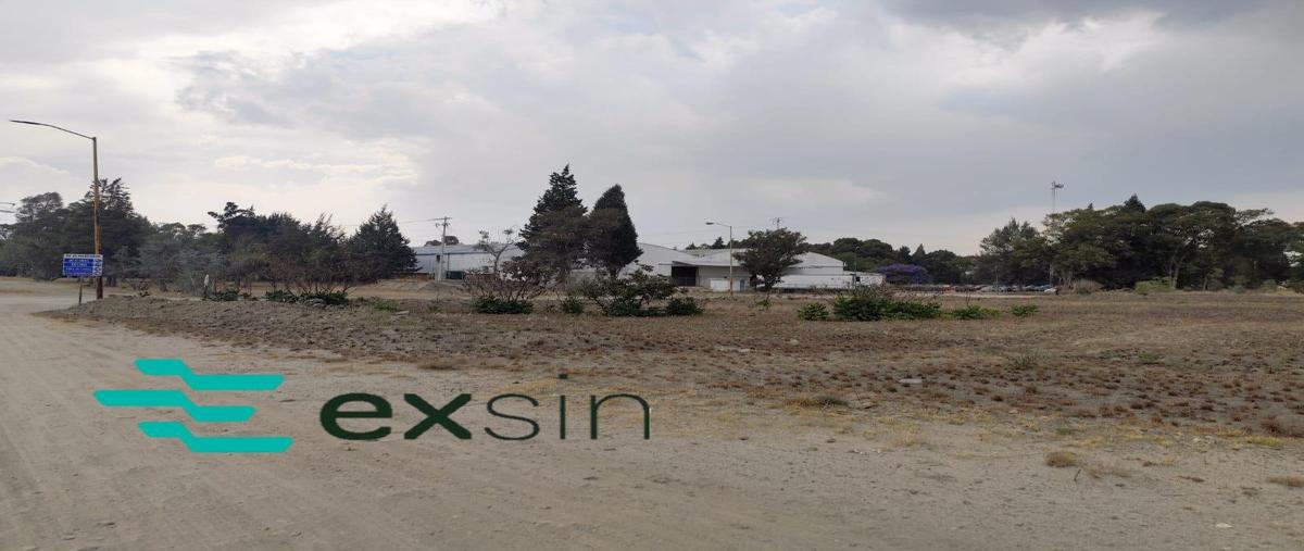 Foto de terreno habitacional en venta en  , primera, teolocholco, tlaxcala, 26668541 No. 05