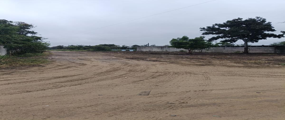 Foto de terreno industrial en primero de mayo , francisco medrano, altamira, tamaulipas, 0 foto 05 Foto de terreno industrial en venta en primero de mayo , francisco medrano, altamira, tamaulipas, 0 No. 05