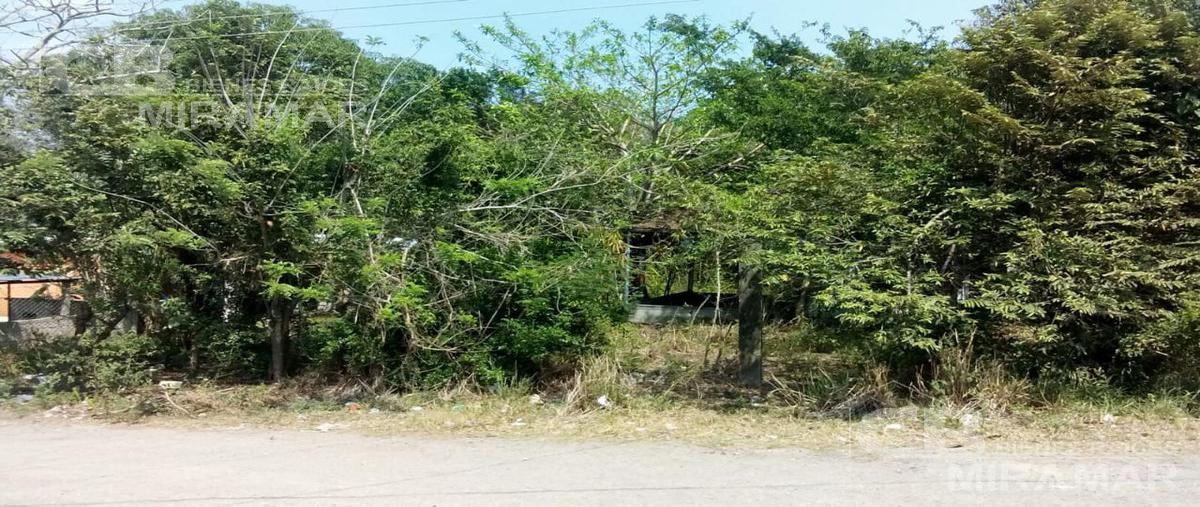 Foto de terreno habitacional en , primero de mayo, pueblo viejo, veracruz de ignacio de la llave, 19193877 foto 03 Foto de terreno habitacional en venta en , primero de mayo, pueblo viejo, veracruz de ignacio de la llave, 19193877 No. 03